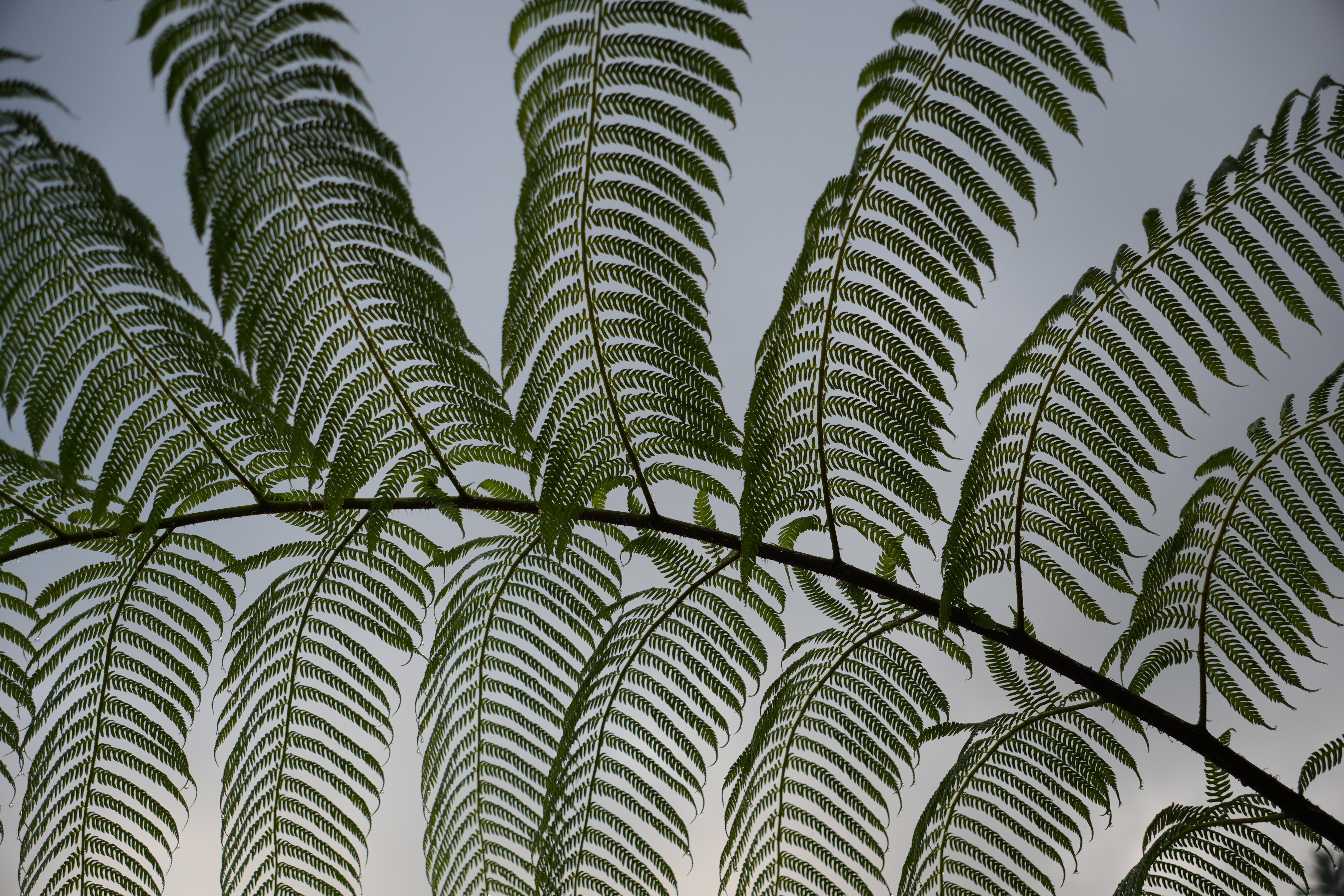 Detail shot